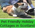 Pet Friendly Holidays in Scotland